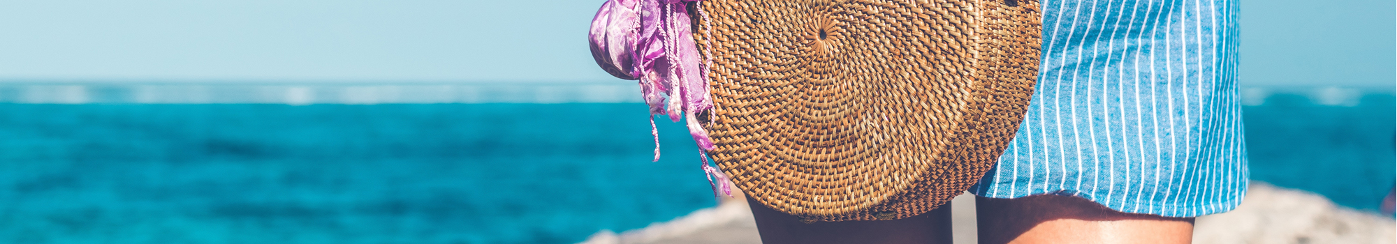 Header image